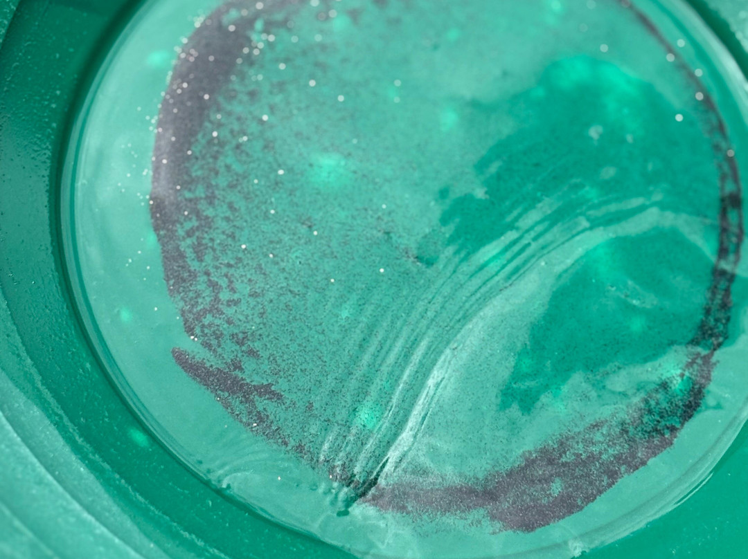 Denali Gold Tours-Trapper Creek必去景点