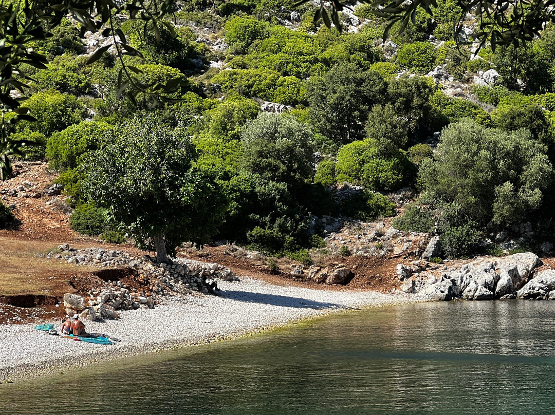 Agia Sofia Beach-菲斯卡尔宗必去景点