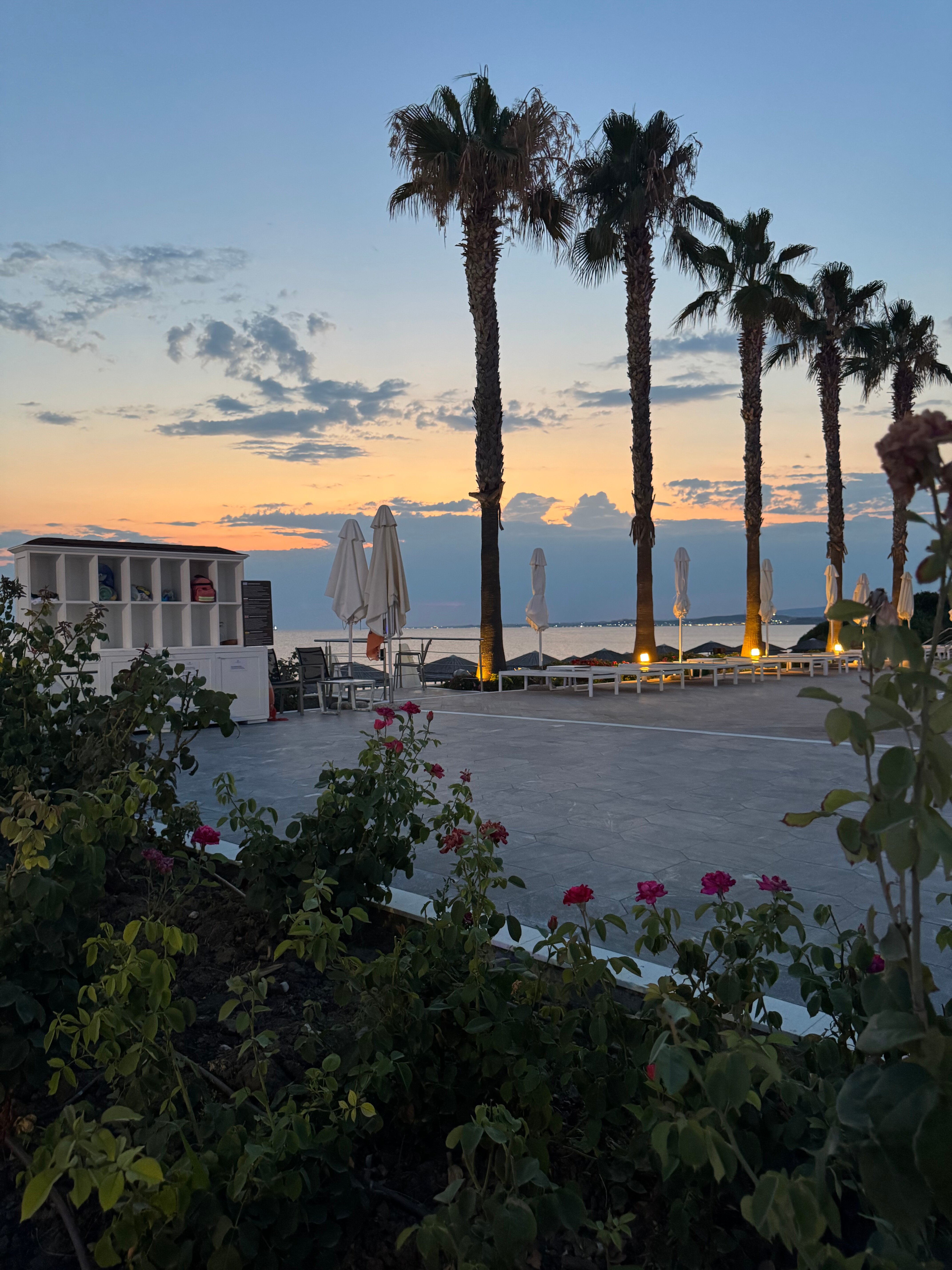 Potidea Palace Hotel-官方