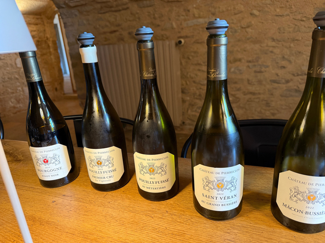 Château de Pierreclos主图