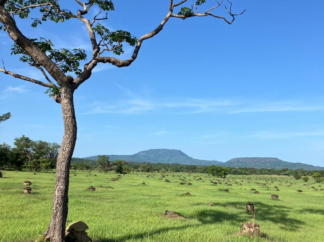 Saliou Diallo - Trekking Guide-Kedougou必去景点