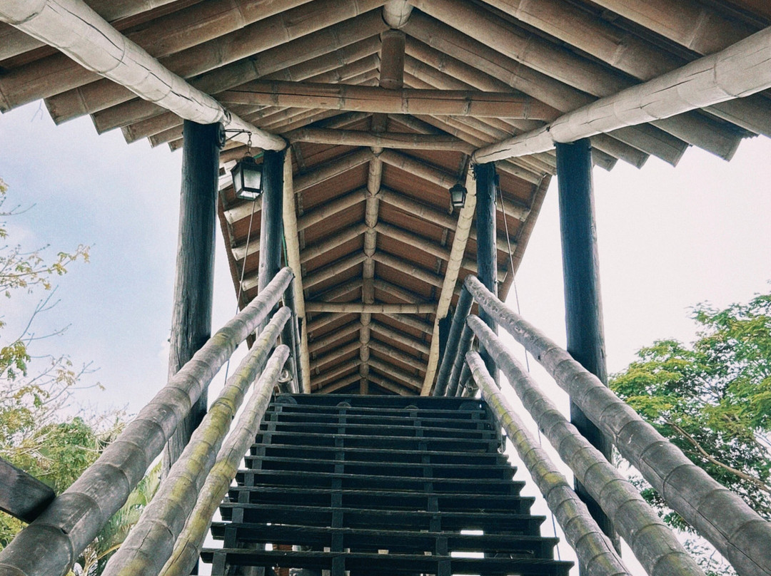 Hotel Bosques Del Samán - Alcalá主图