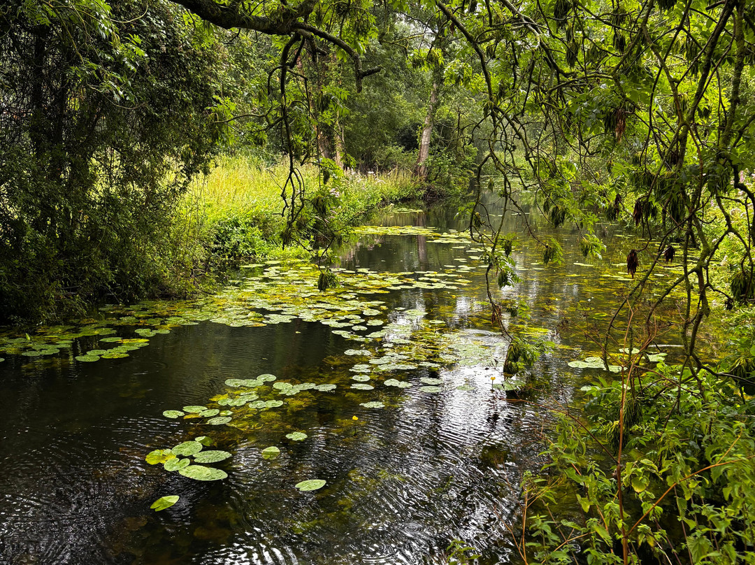 Easton Farm Park-Easton必去景点