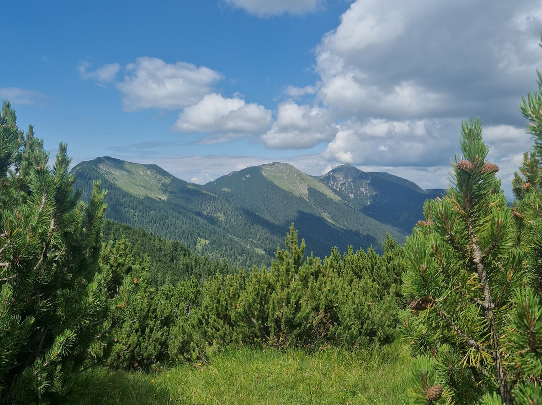 Wank Mountain-加米许-帕坦克辛必去景点
