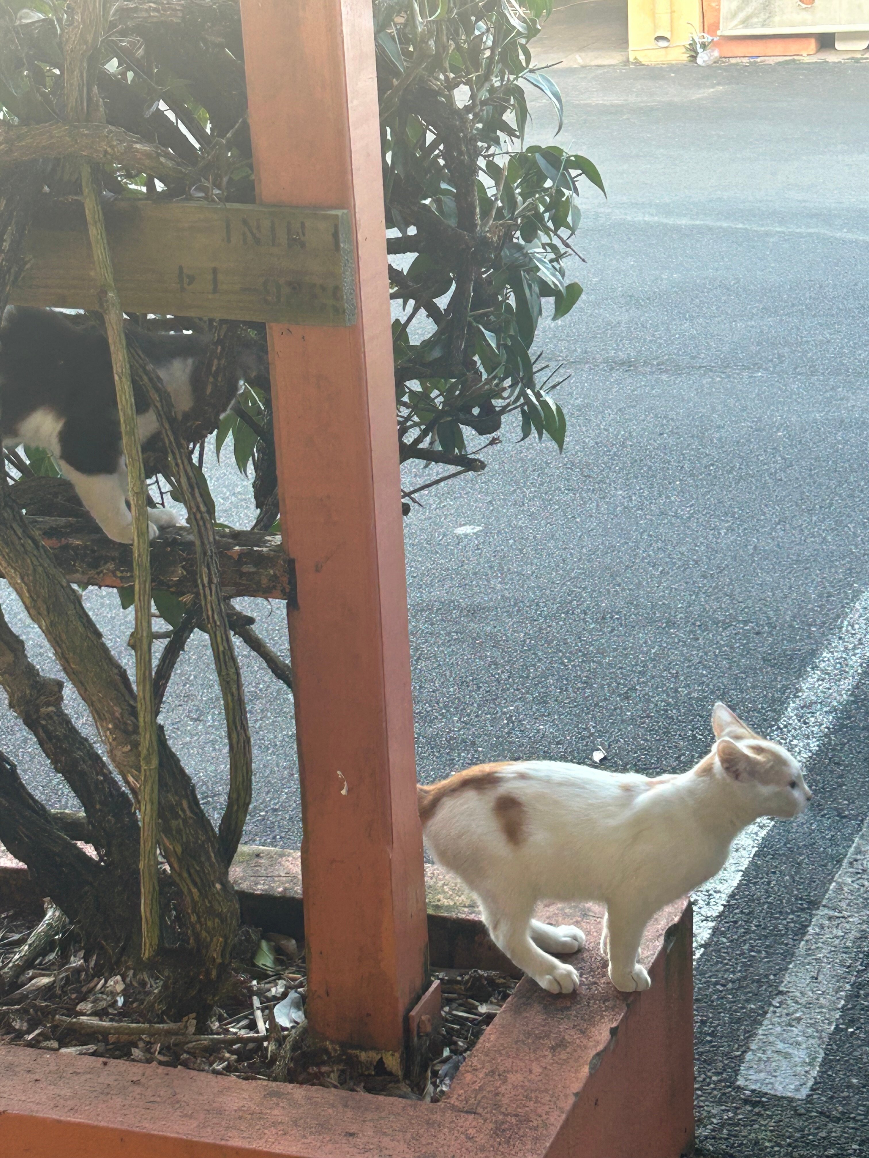 阿卡纳汽车旅馆-浴室