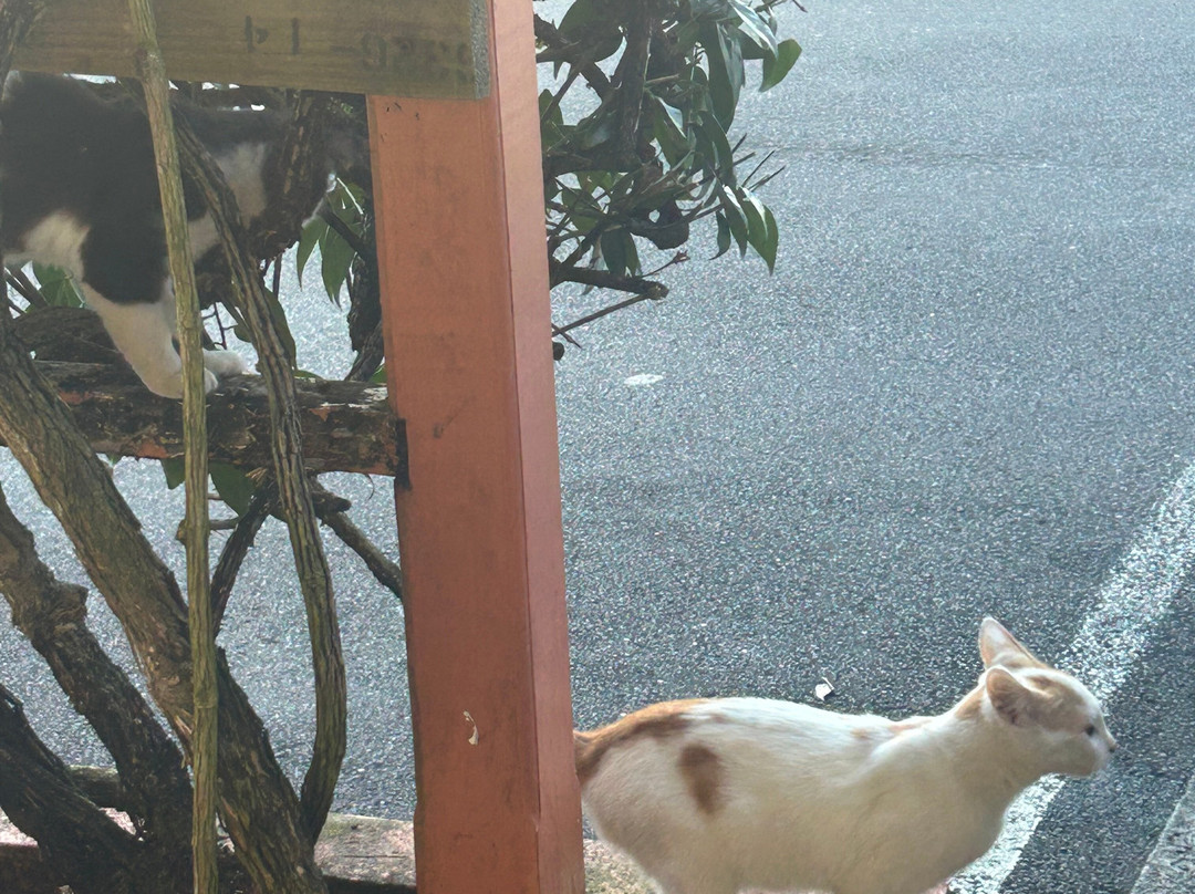 阿卡纳汽车旅馆主图