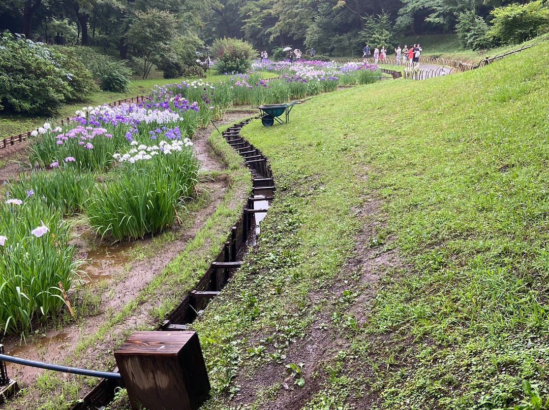 Meiji Shrine Imperial Garden-涩谷区必去景点