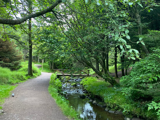 Viðarlundin Park-托沙文必去景点