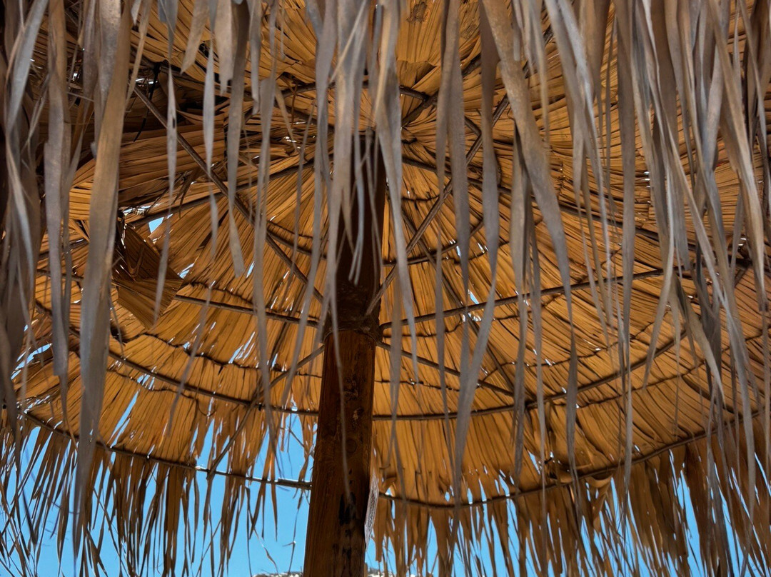 Taxi 27 Katakolon-Katakolo必去景点