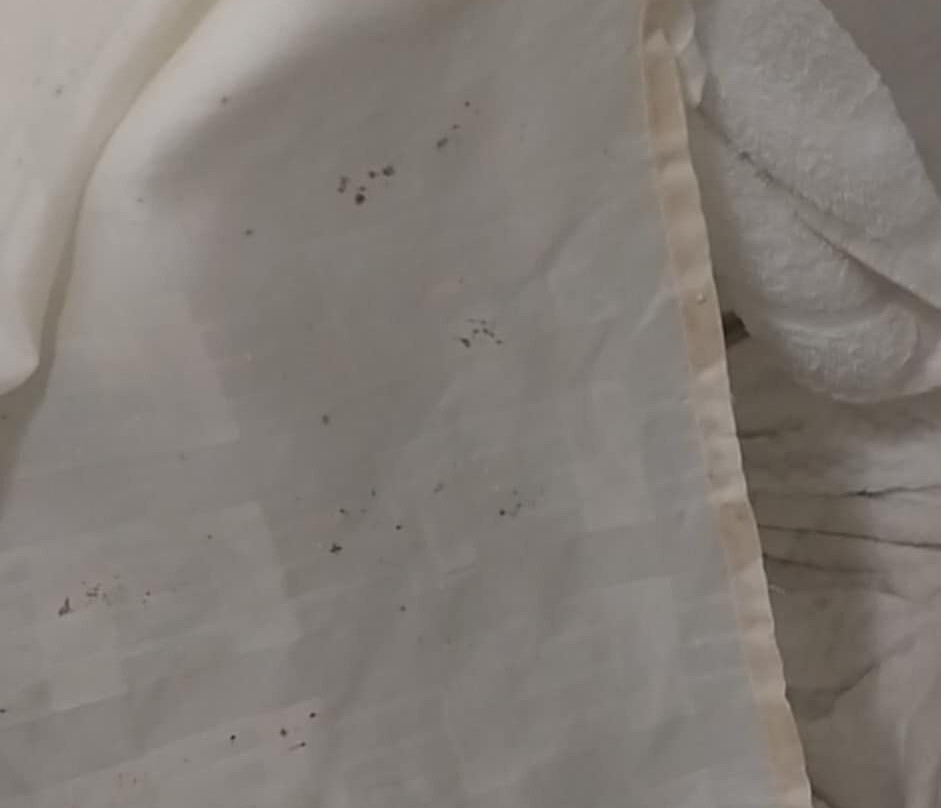 Quality Inn Conyers I-20主图