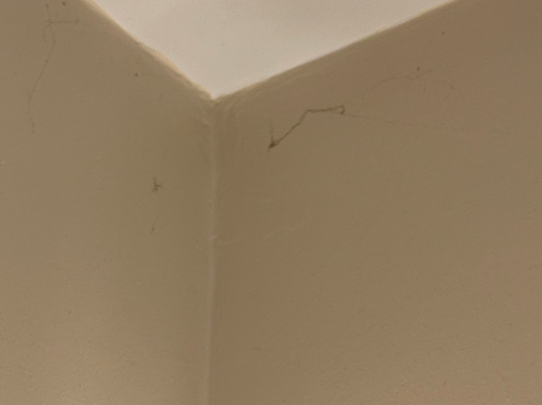 Gasthof Hotel Kirchenwirt主图