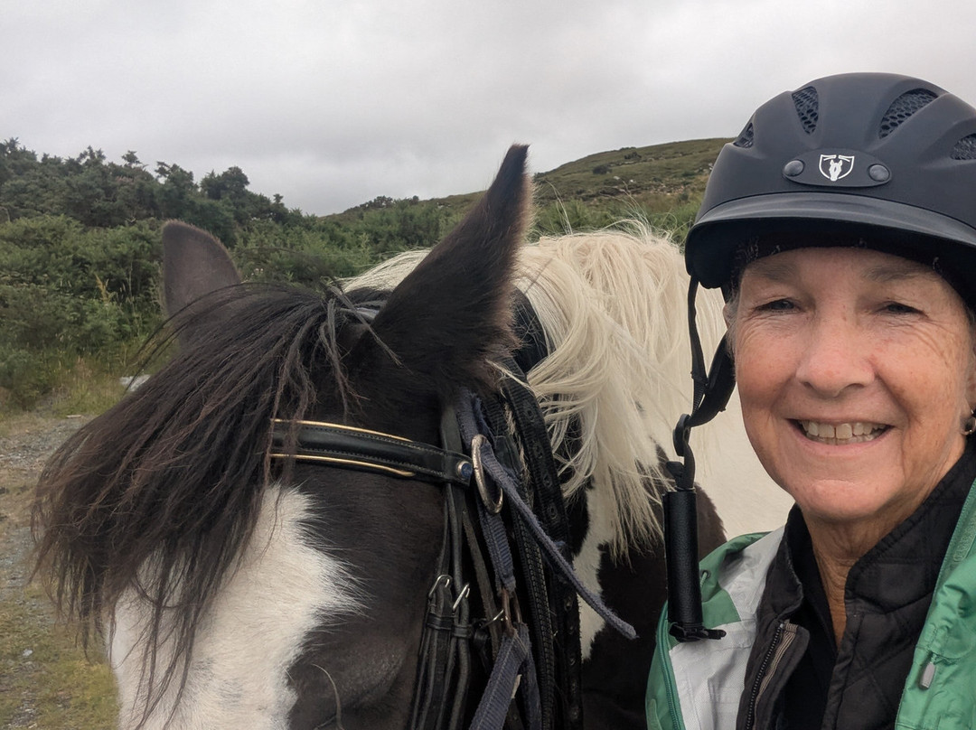 Drummindoo Stud-韦斯特波特必去景点