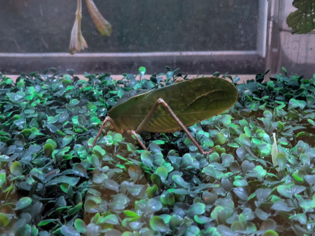 Attwell Farm Park-雷迪奇必去景点