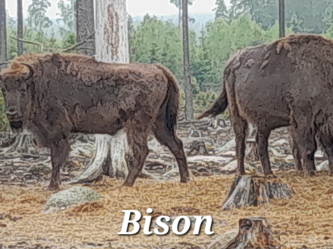 Kosta Safaripark-Kosta必去景点