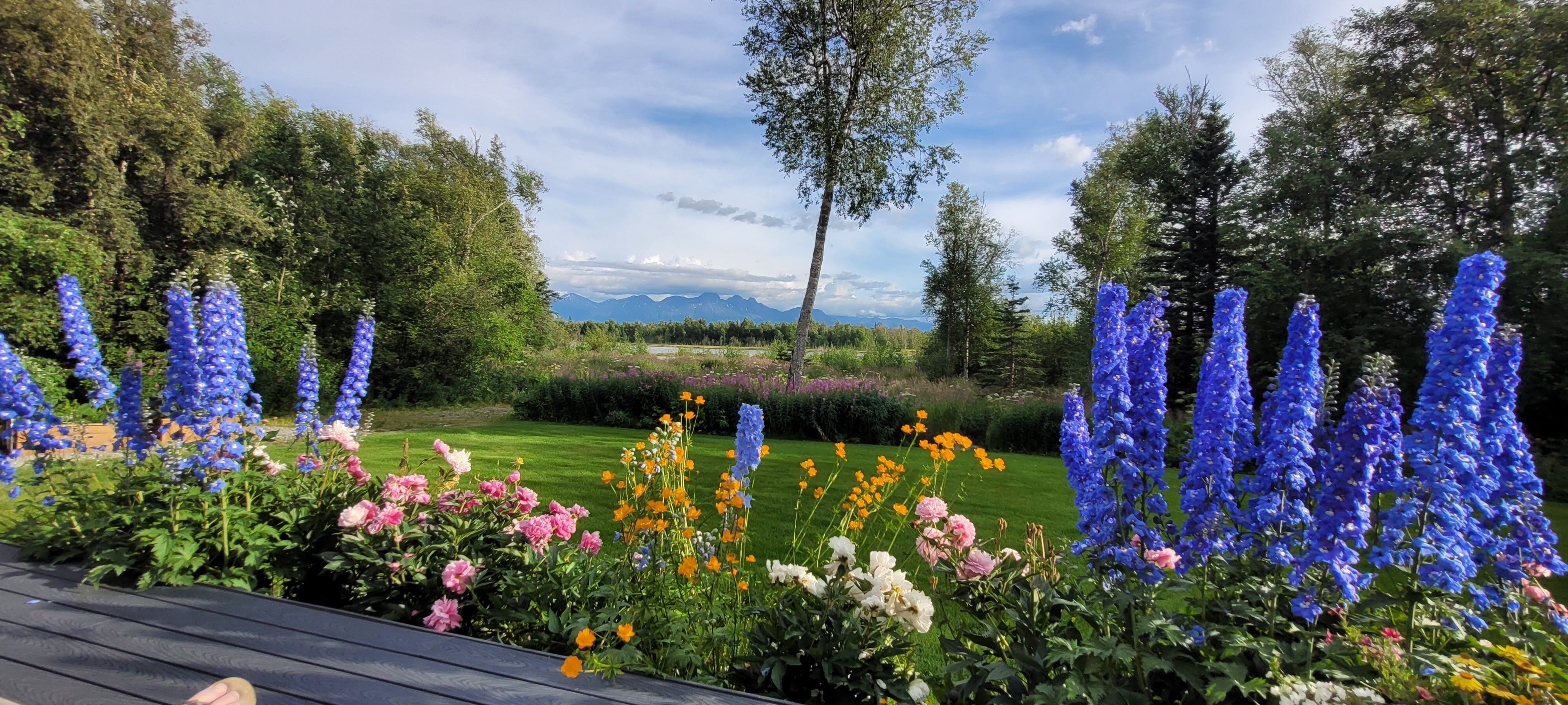 Snowgoose Pond B&B-官方