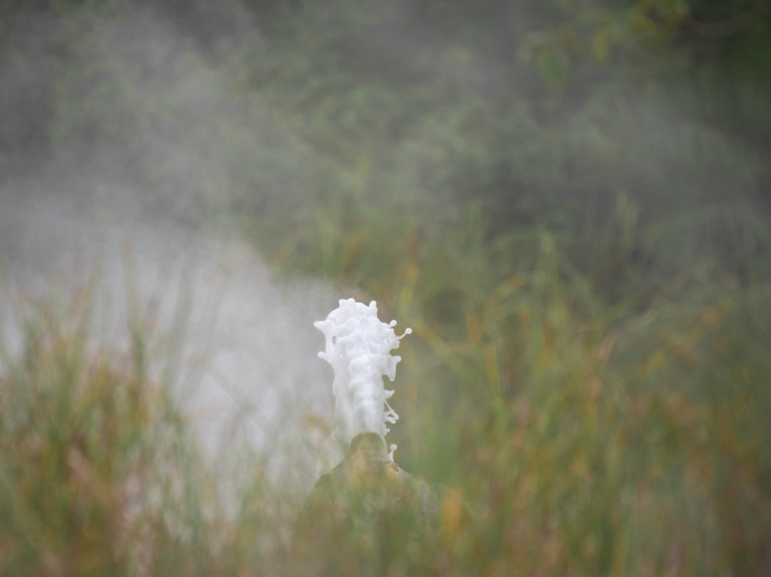 Semuliki National Park-Fort Portal必去景点