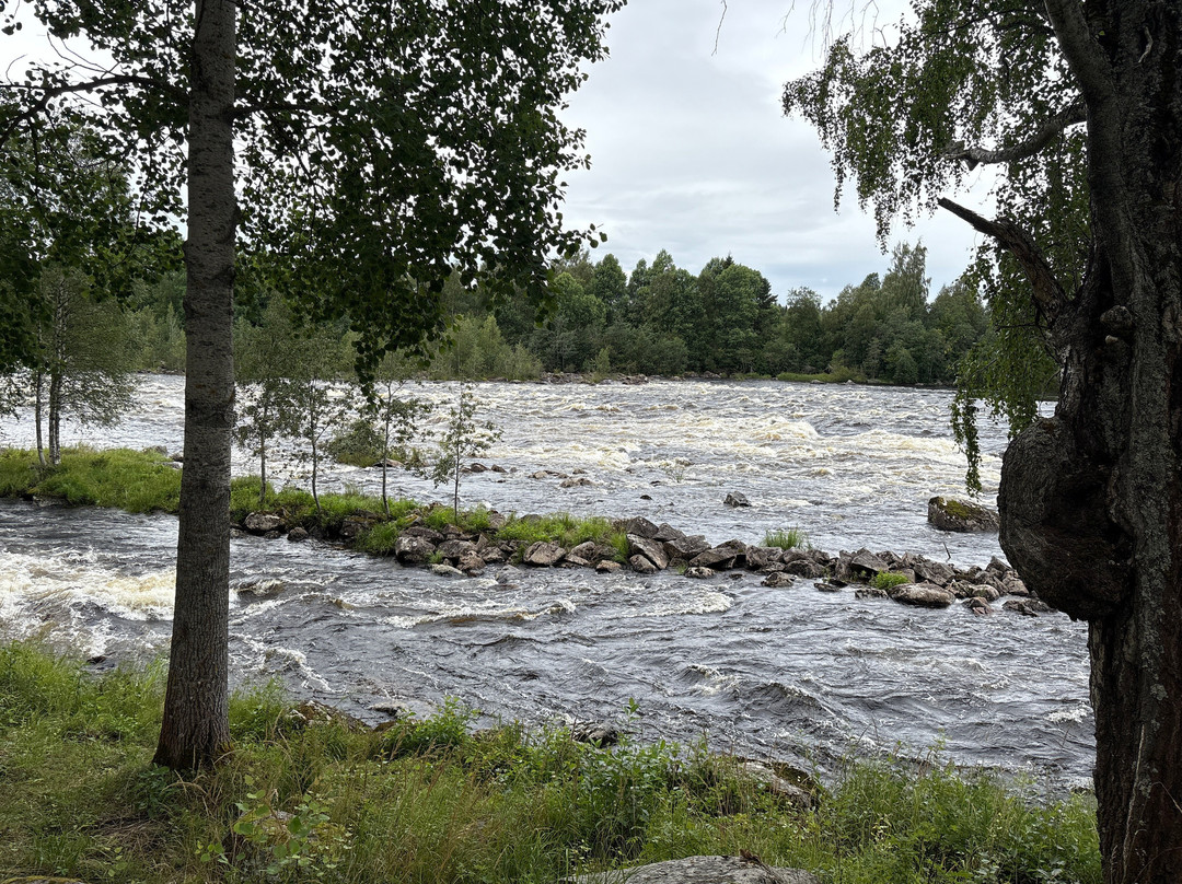 Upplev Järvsö-Jarvso必去景点