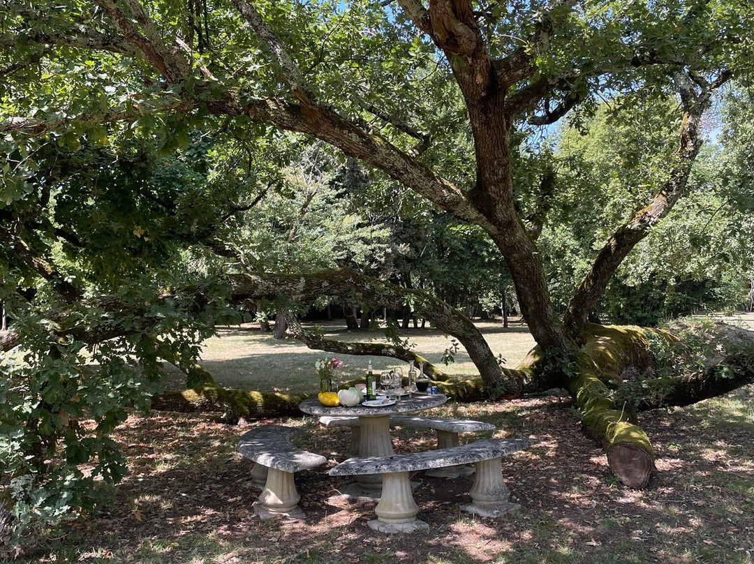 Chateau Larrivaux-Cissac Medoc必去景点