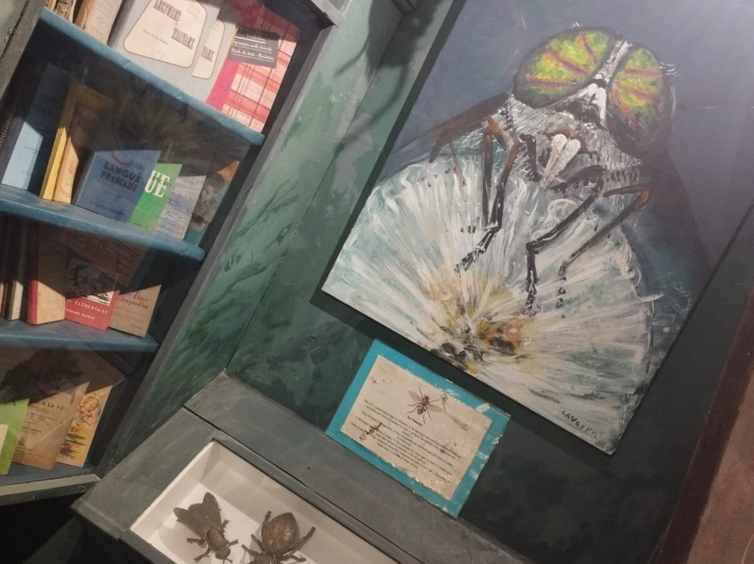 Le Relais Des Arts-La Petite Pierre必去景点