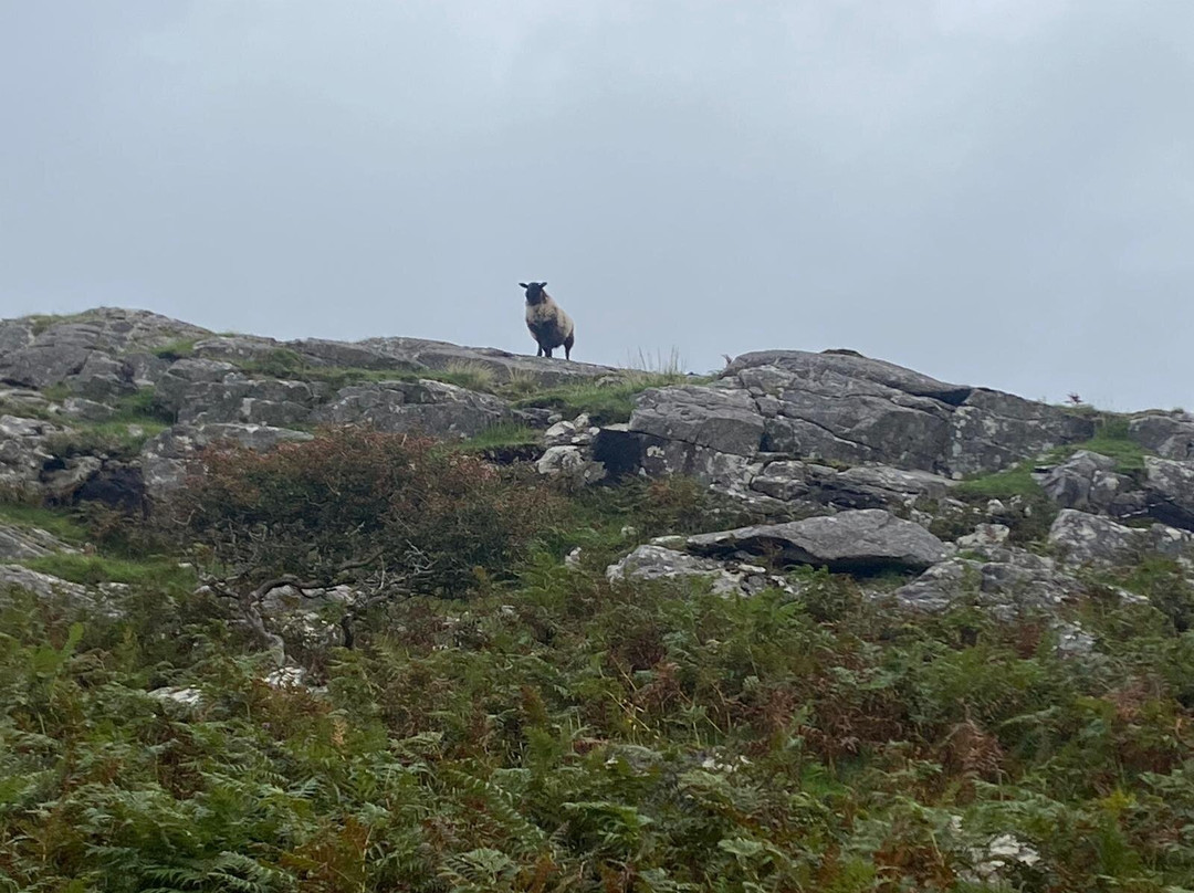 The Lost Valley-Louisburgh必去景点