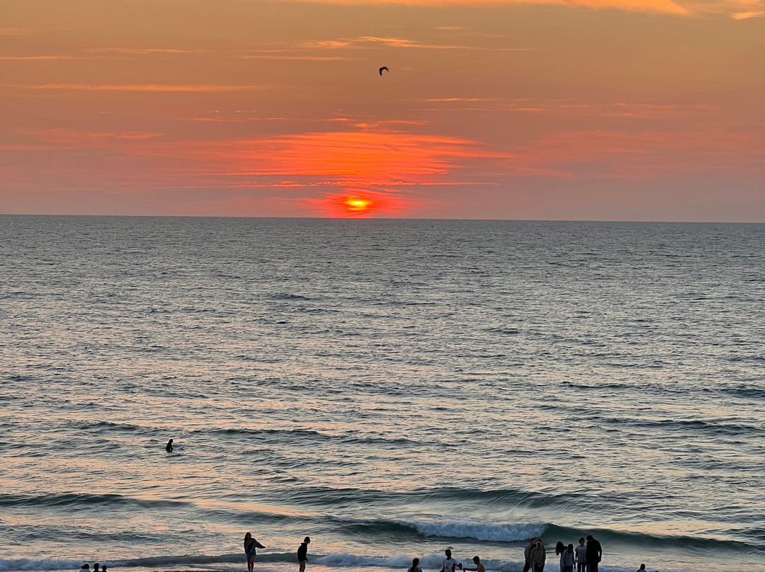 Belambra Clubs - Les Vignes主图