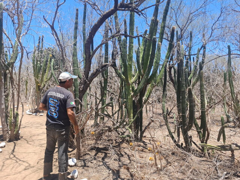 Cactus Sanctuary-El Triunfo必去景点