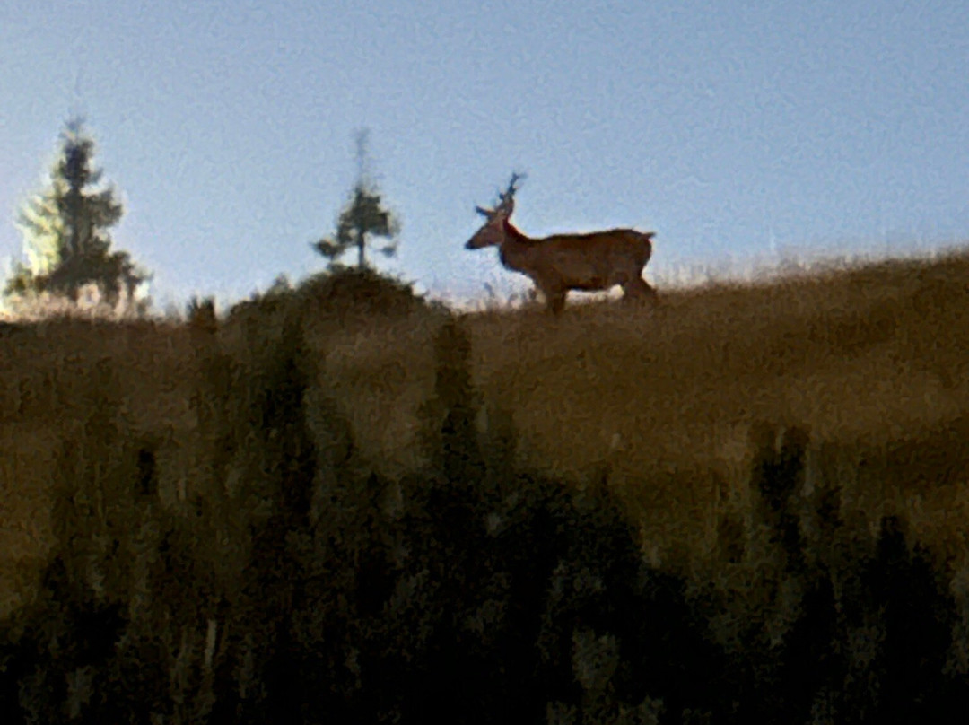 Hotel Alpenrose主图