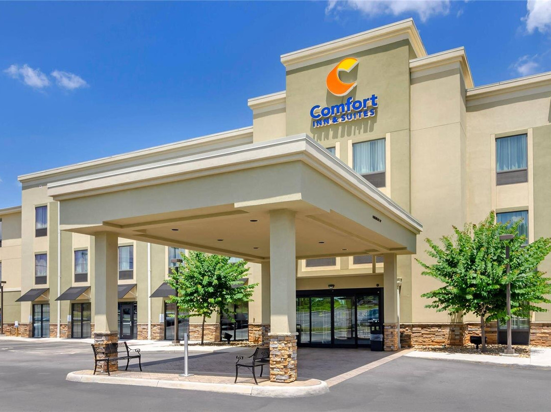 Altavista酒店住宿-Comfort Inn & Suites Lynchburg Airport - University Area