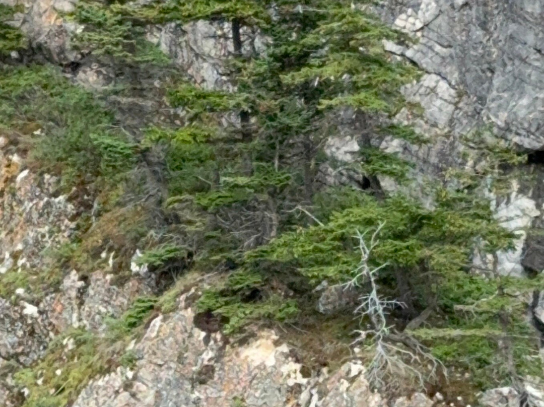 Waterton Shoreline Cruise Co.-沃特顿湖国家公园必去景点