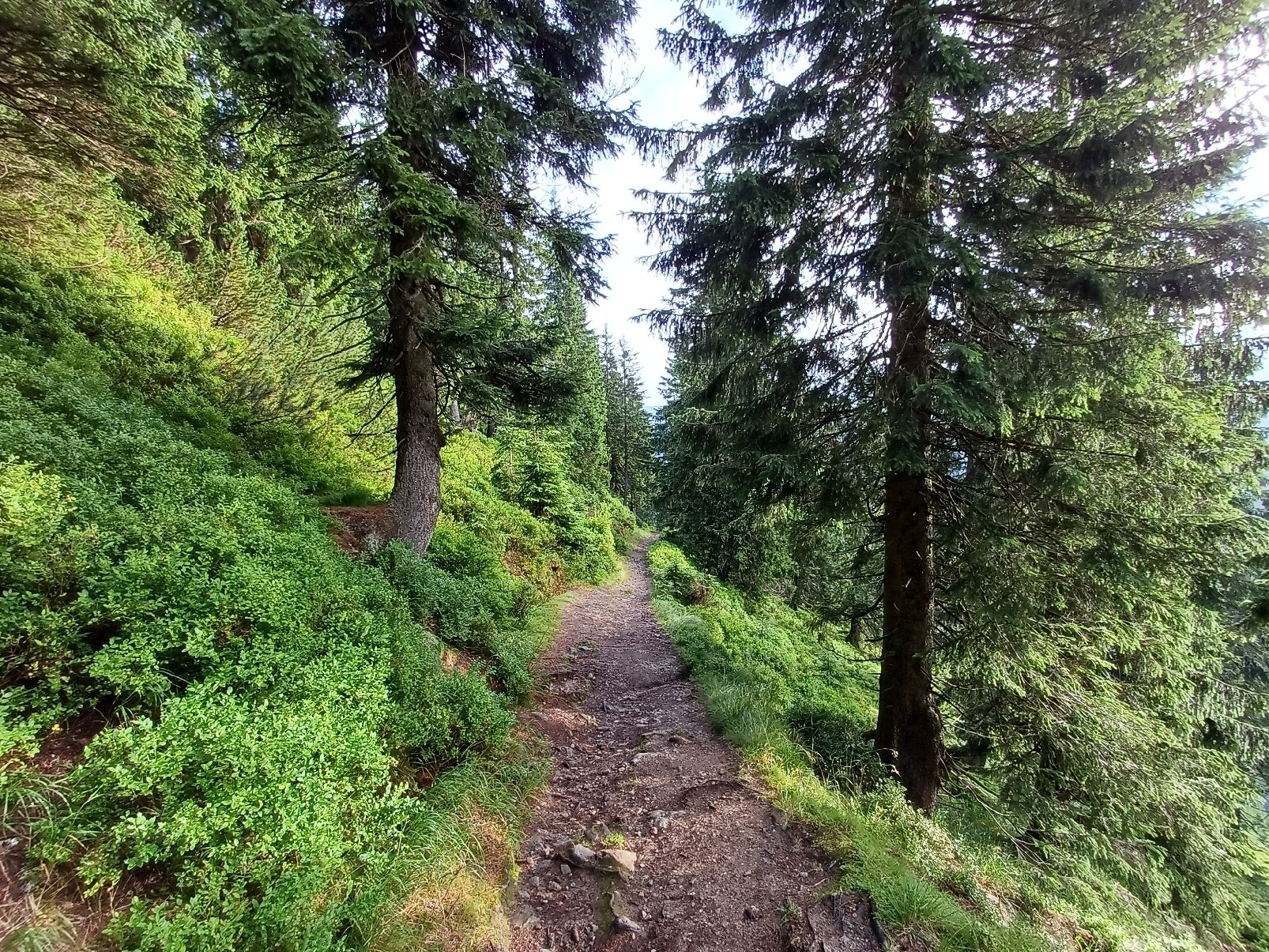 Hotel Friesovy Boudy-官方