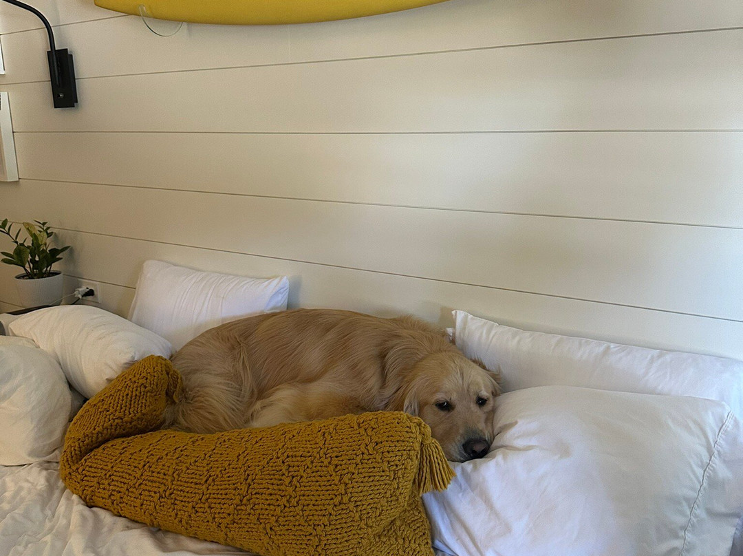 Boarding House Cape May主图