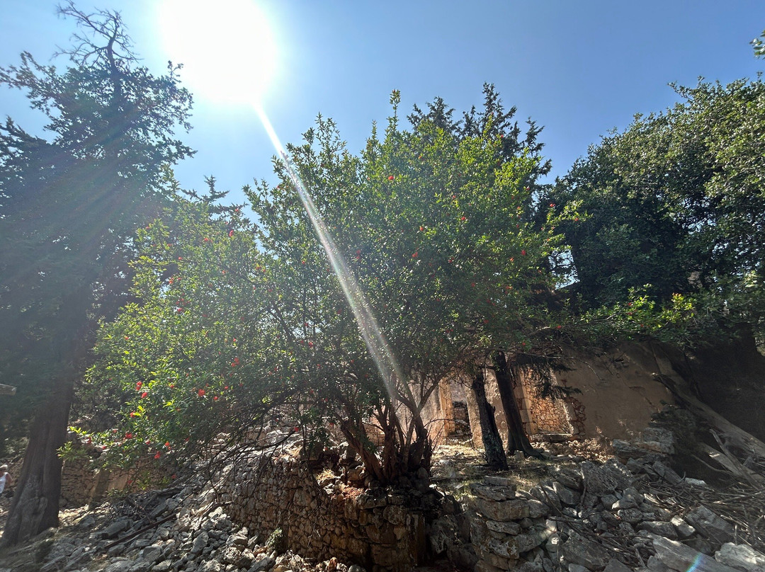 Old Vlachata-萨米必去景点