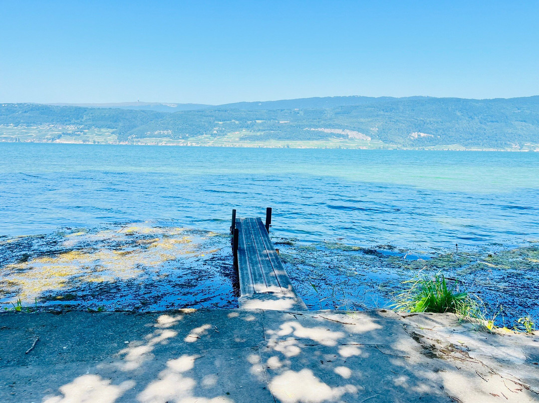 Hotel St. Petersinsel主图