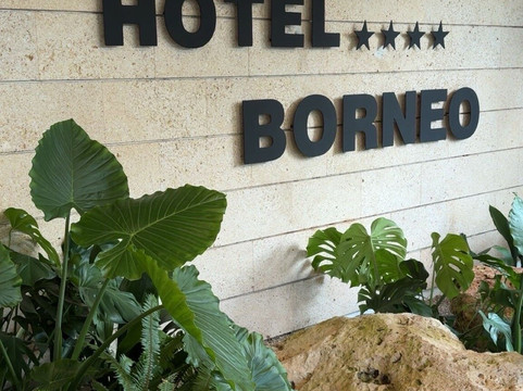 婆罗洲酒店主图