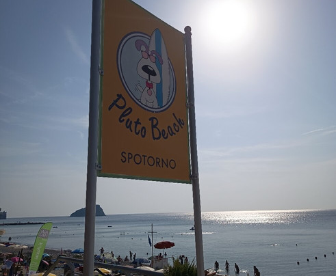 Pluto Beach-斯波托尔诺必去景点