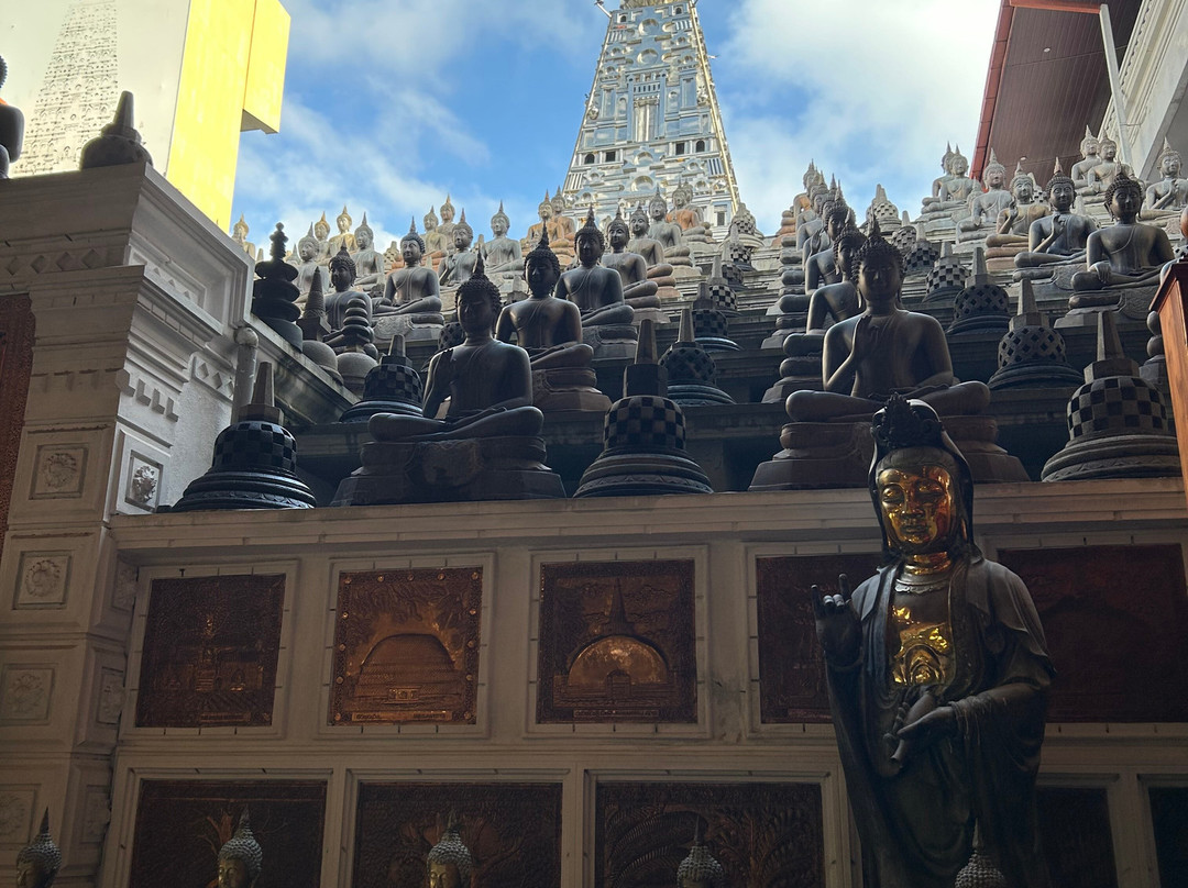 R.N Focus Tours-Katana必去景点