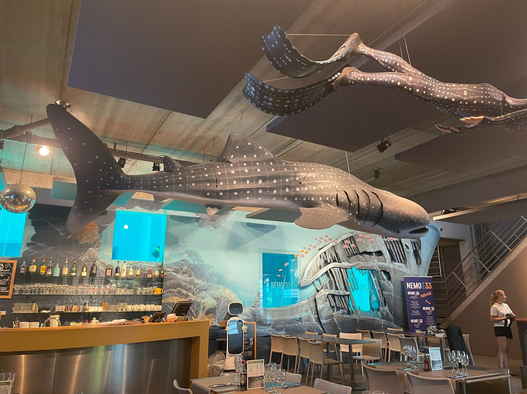 Nemo 33-布鲁塞尔必去景点