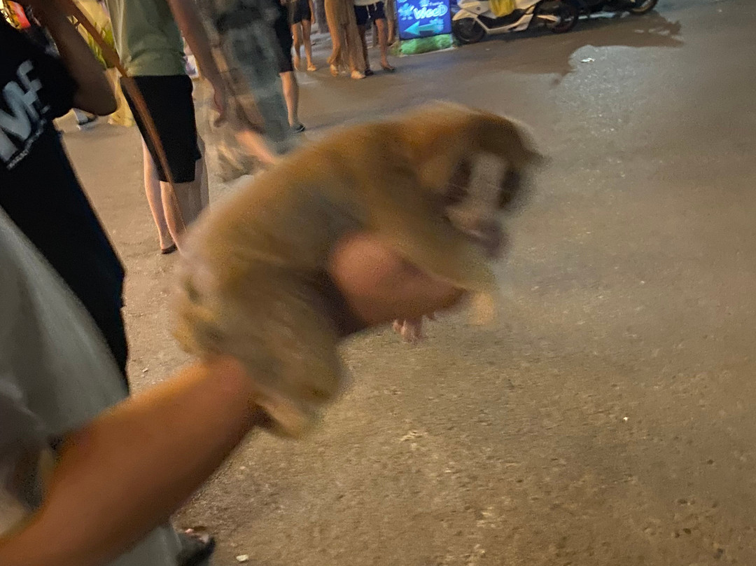 Kata Night Market-卡塔海滩必去景点