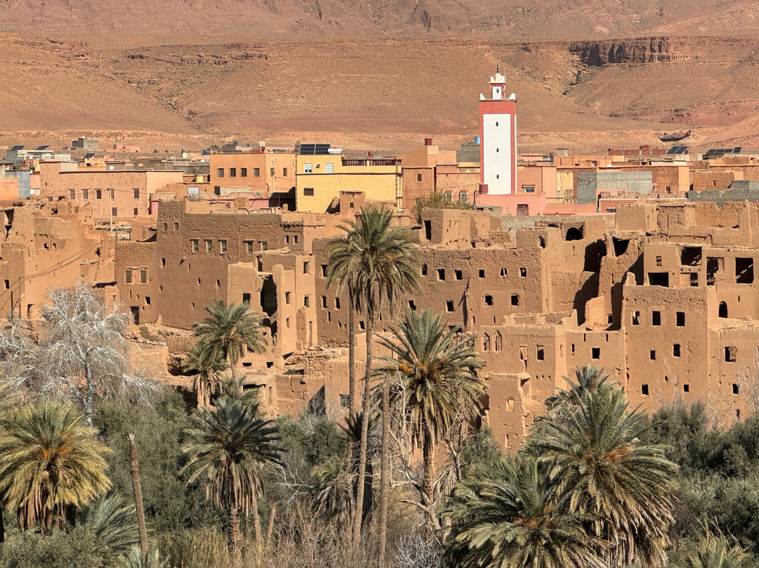 摩洛哥沙漠探险之旅-丹吉尔必去景点