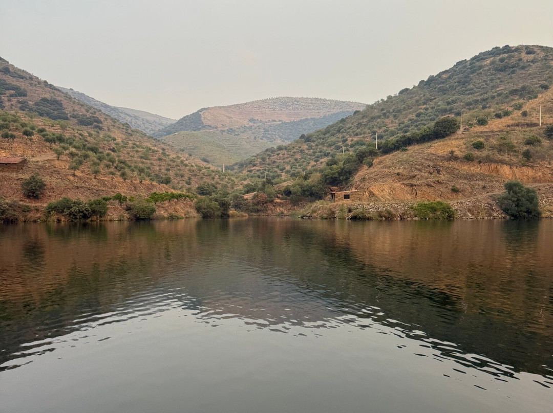 Wild River Tours-Vila Nova de Foz Coa必去景点