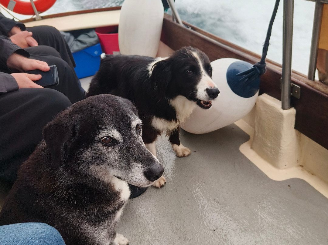 Skellig Tours-Caherdaniel必去景点