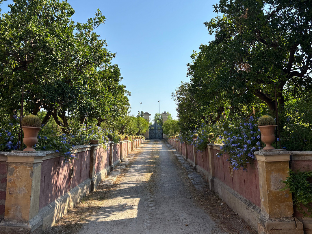 Palazzo Leuzzi B&B主图