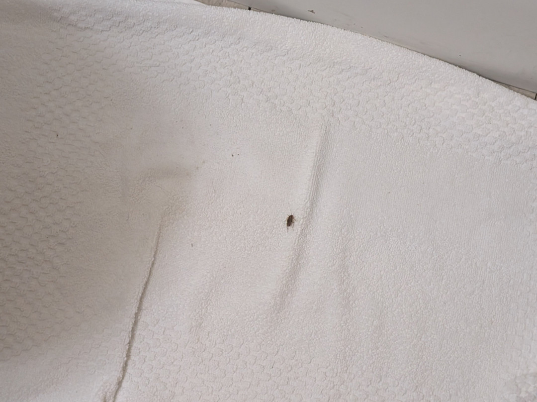 WoodSpring Suites Columbus Fort Benning主图