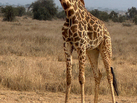 Great Horizon Trails-内罗毕必去景点