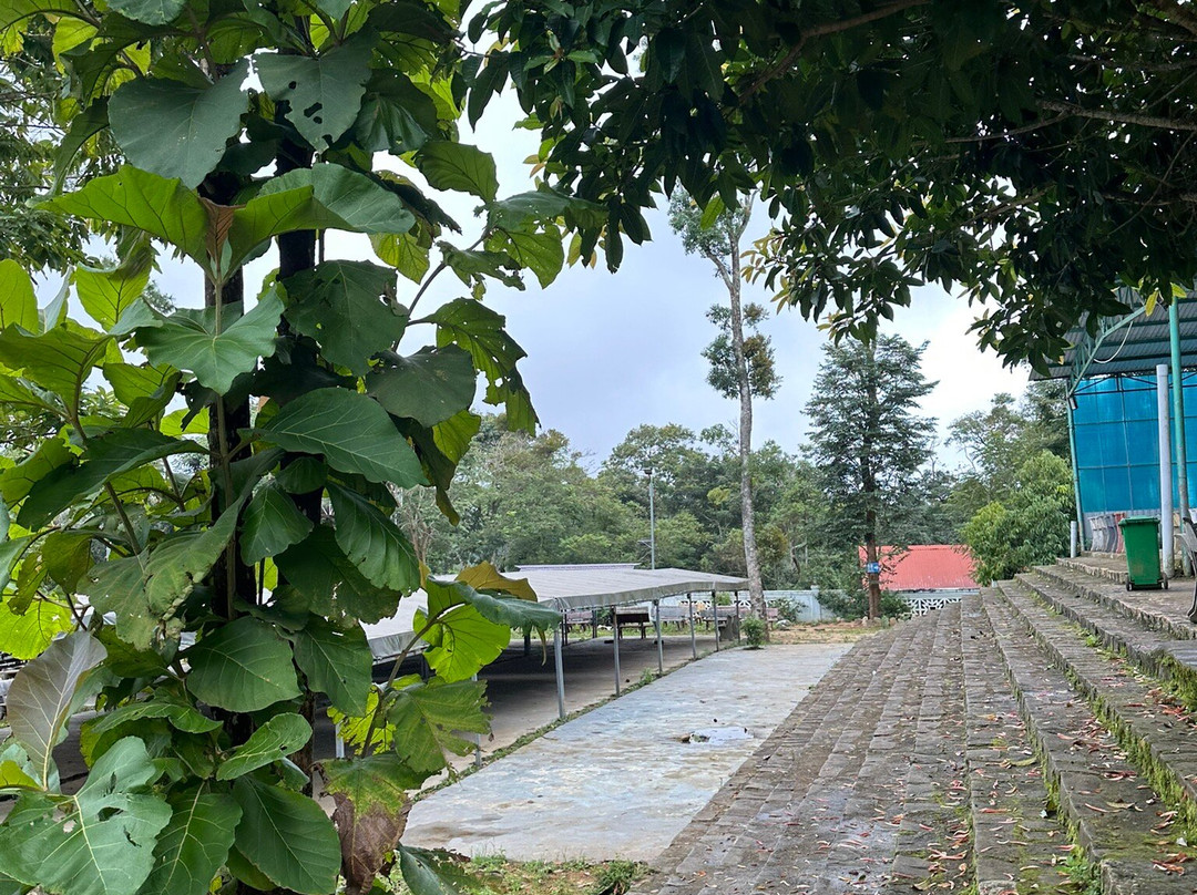 Lady Mang Den-Dak Long必去景点