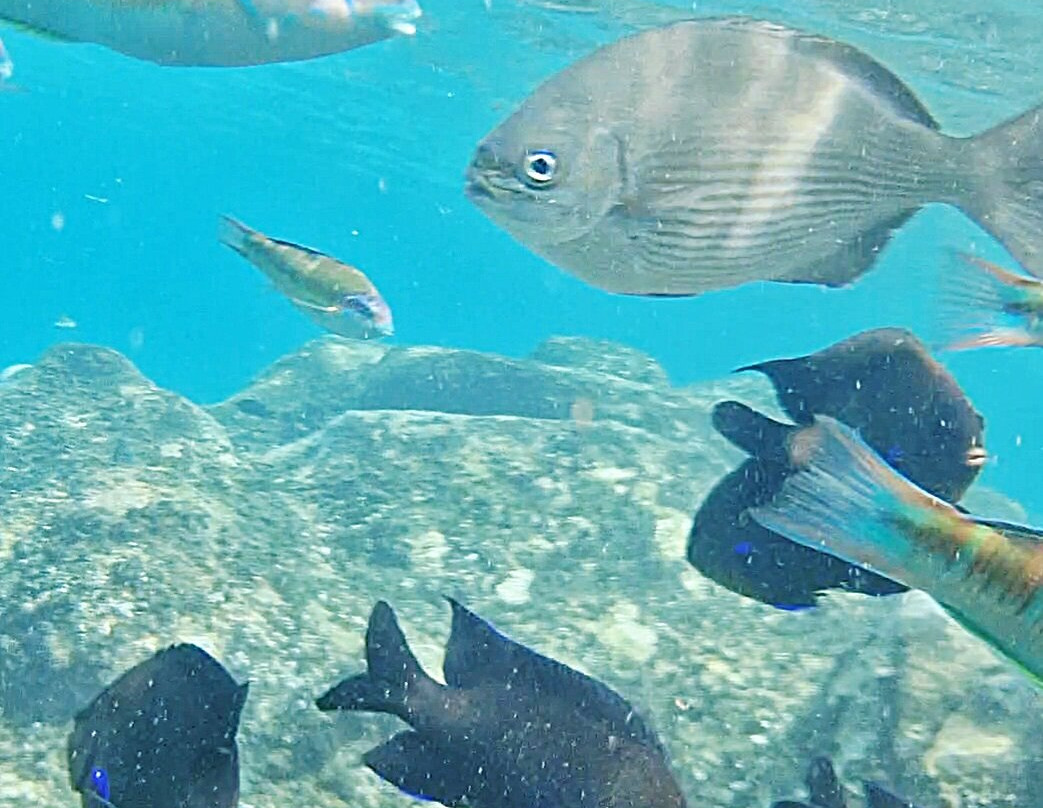 Playa De Montaña Roja-布兰卡滩必去景点