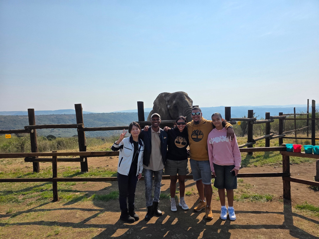 Zulu Safaris-德班必去景点