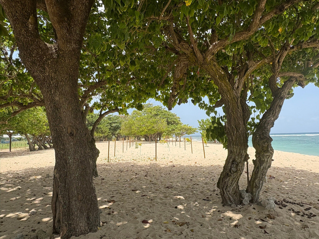 Plage De La Chapelle