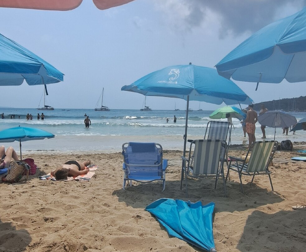Playa de Ses Salines-Ses Salines必去景点