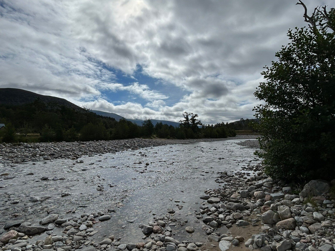 Bothy Bikes - Bike Rentals-Kingussie必去景点